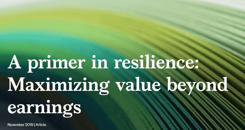 A primer in resilience: Maximizing value beyond earnings